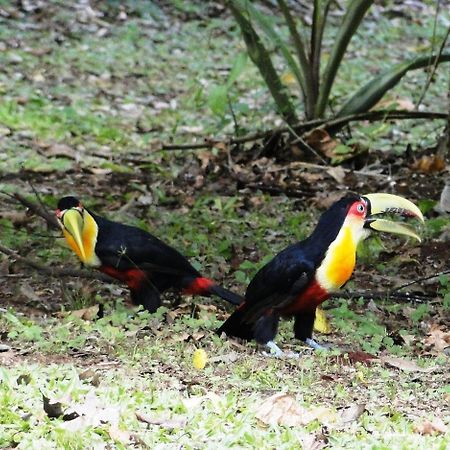Yasi Yatere Reserva Agroecologica El Soberbio Zewnętrze zdjęcie