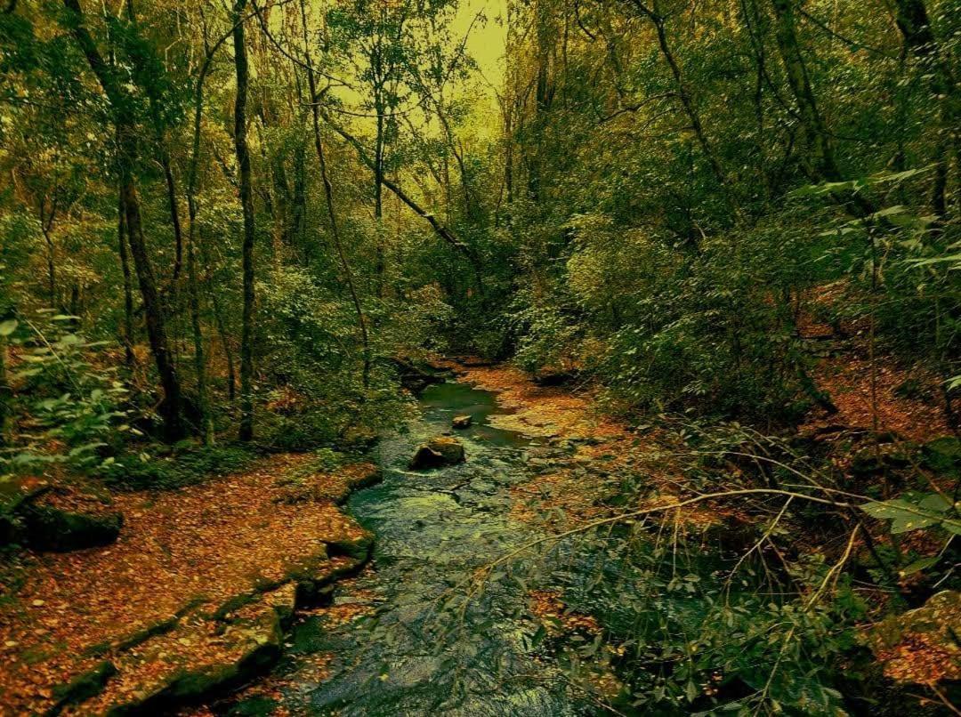 Yasi Yatere Reserva Agroecologica El Soberbio Zewnętrze zdjęcie