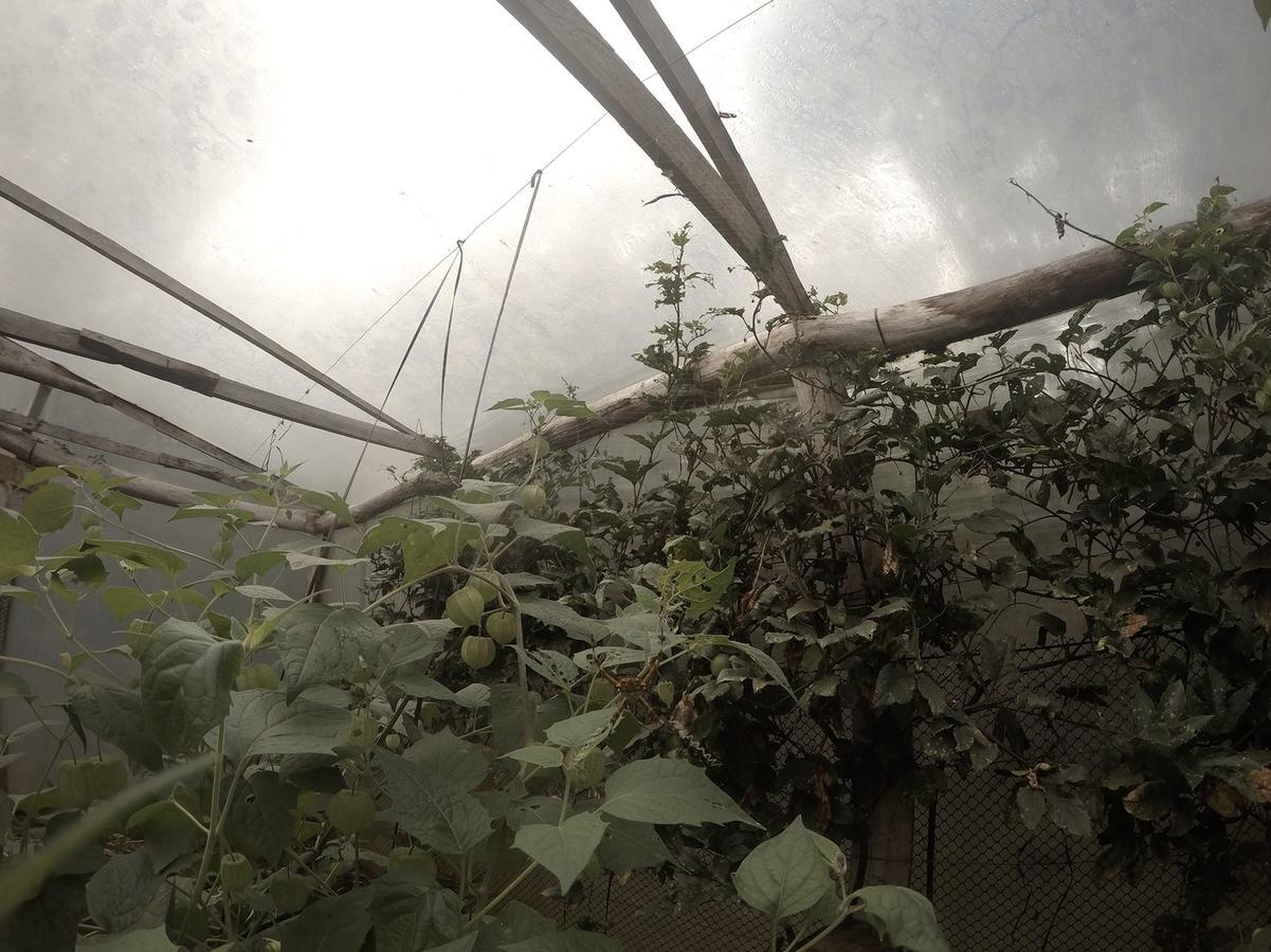 Yasi Yatere Reserva Agroecologica El Soberbio Zewnętrze zdjęcie